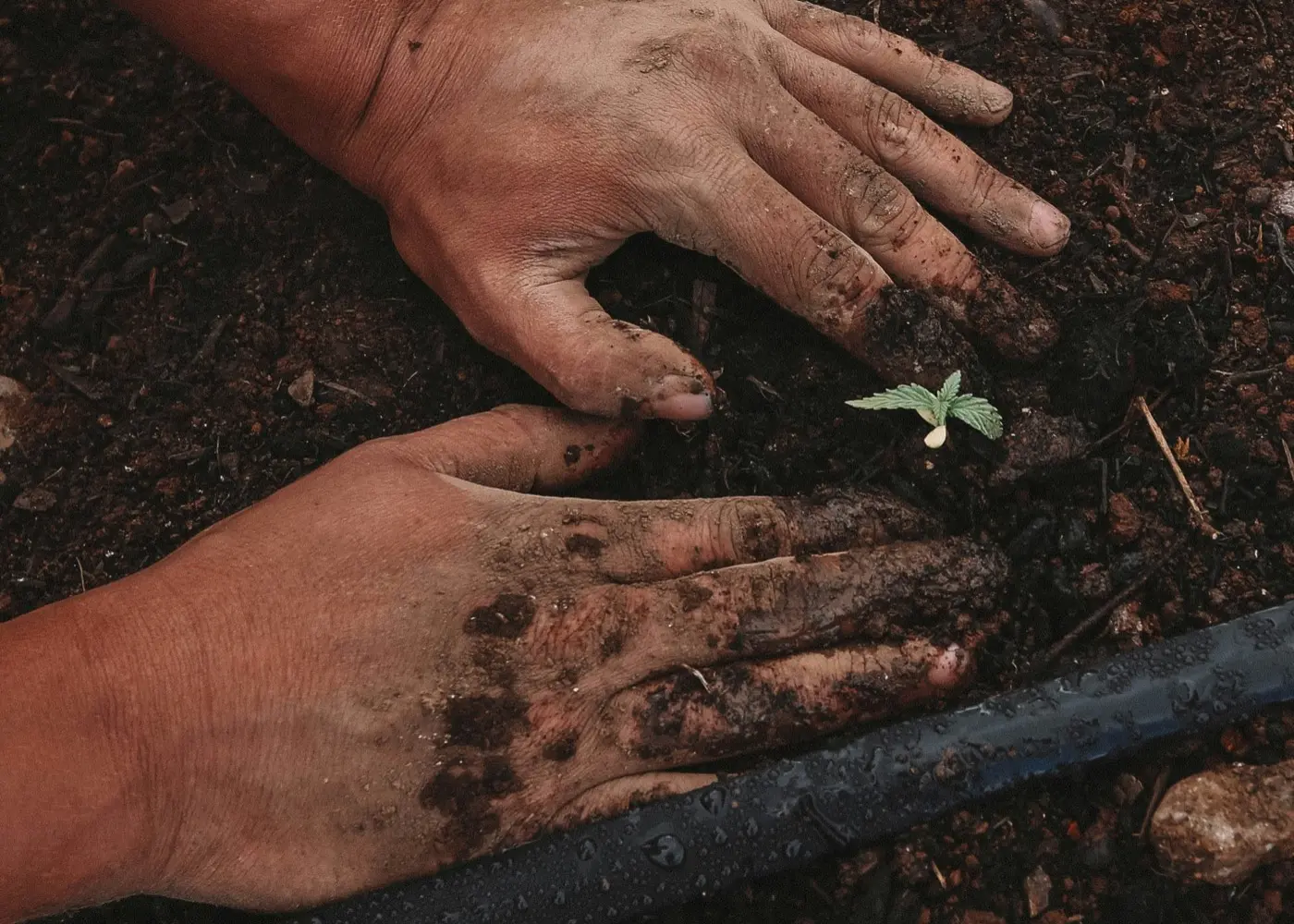 Diseñado para el agro.